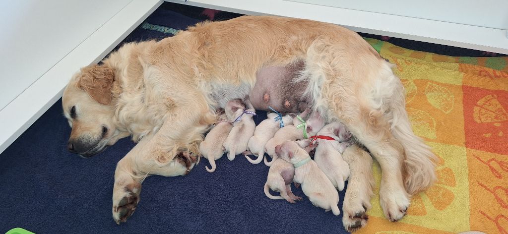 Les bébés de Romy sont nés !