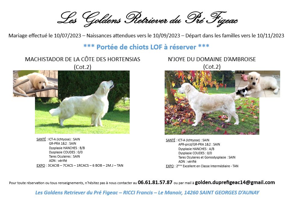 Bébés N'Joye 2023
