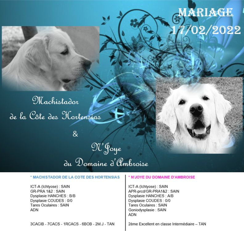 Bébés N'Joye 2022