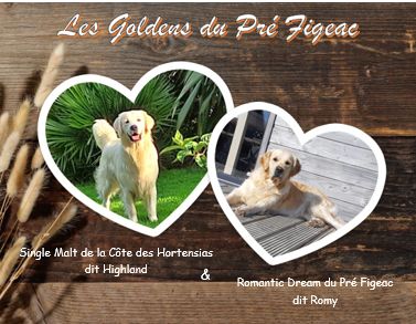 Bébés Romy 2025